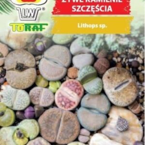 Żywe kamienie szczęścia nasiona 20 szt. - TORAF
