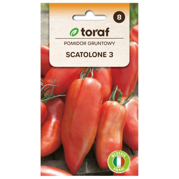 Pomidor gruntowy Scatolone 3 nasiona 0