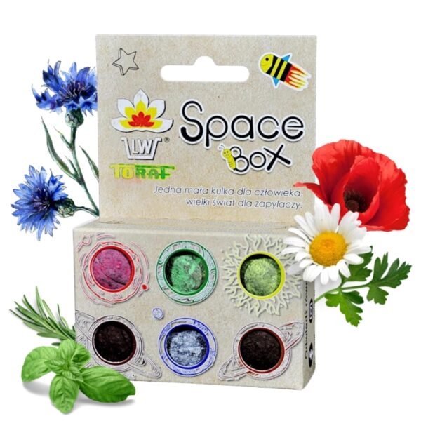 Space Box Bomby kwiatowe 6 szt. Łąka kwietna - TORAF